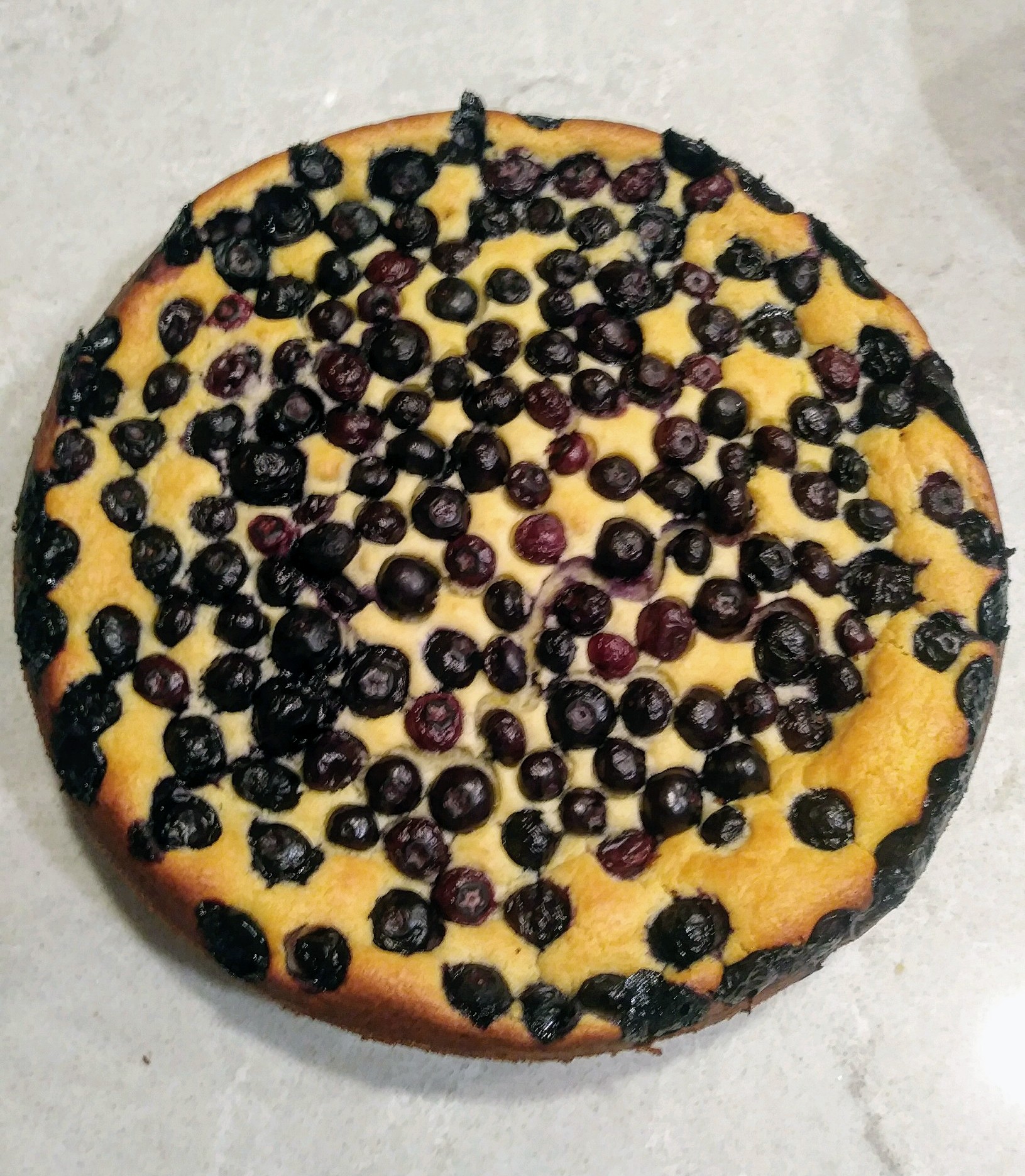 Blueberry Ricotta cake fresh from the oven
