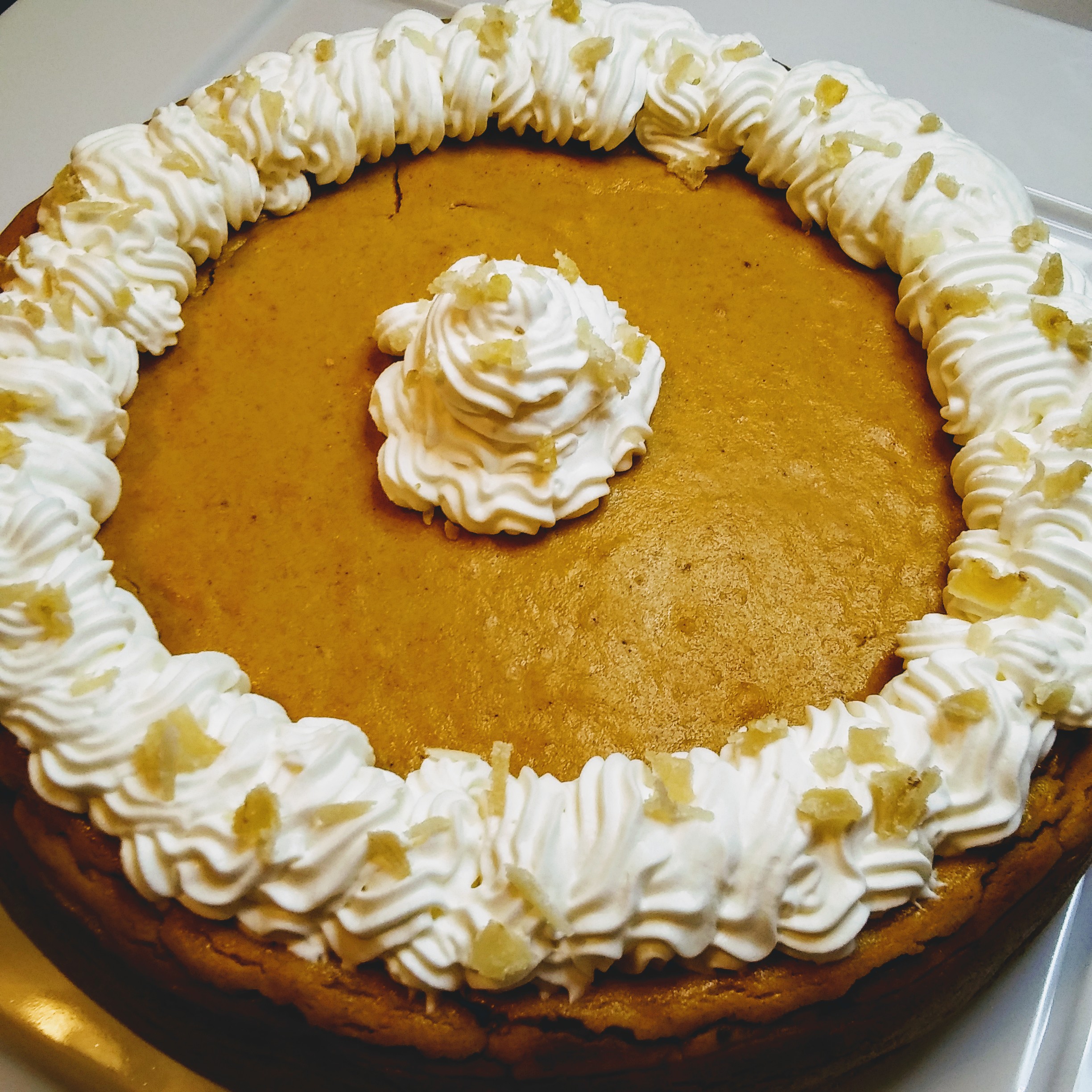 Pumpkin-Maple Crustless Cheesecake